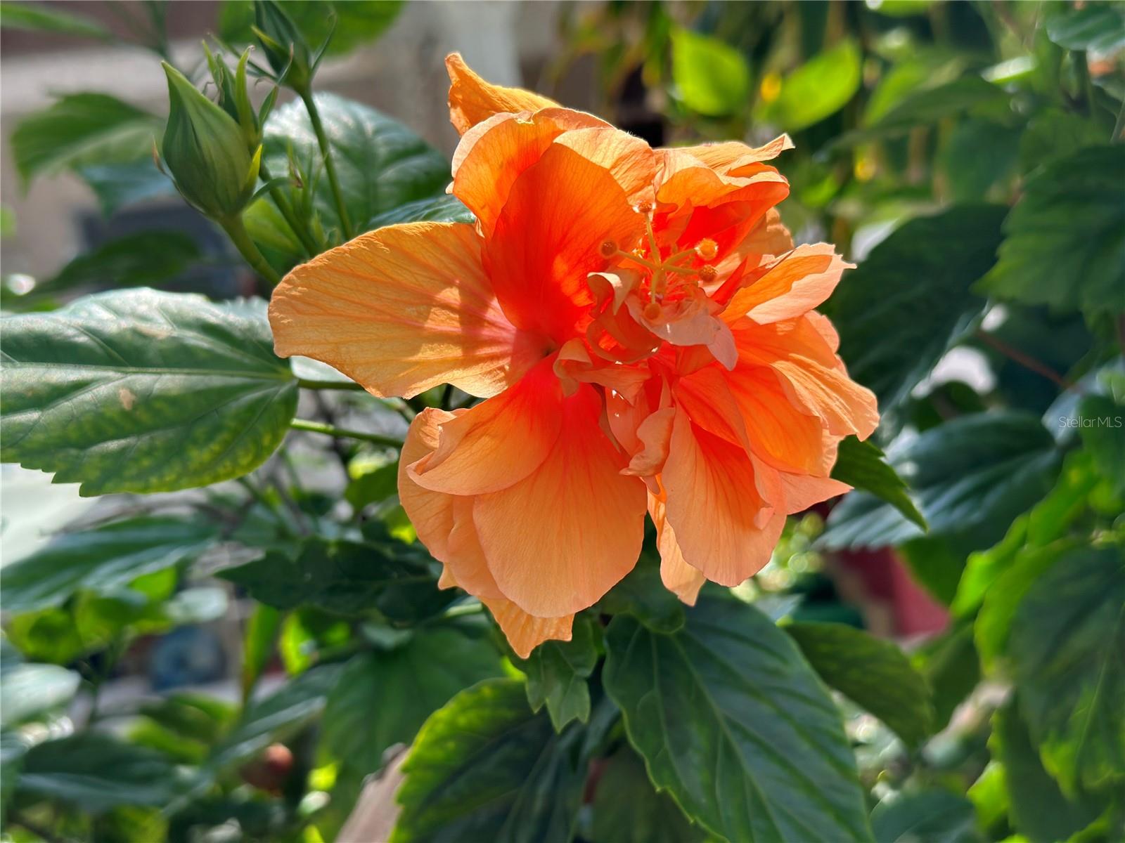 Image 91 of 99 For 5925 Shore Boulevard S 505