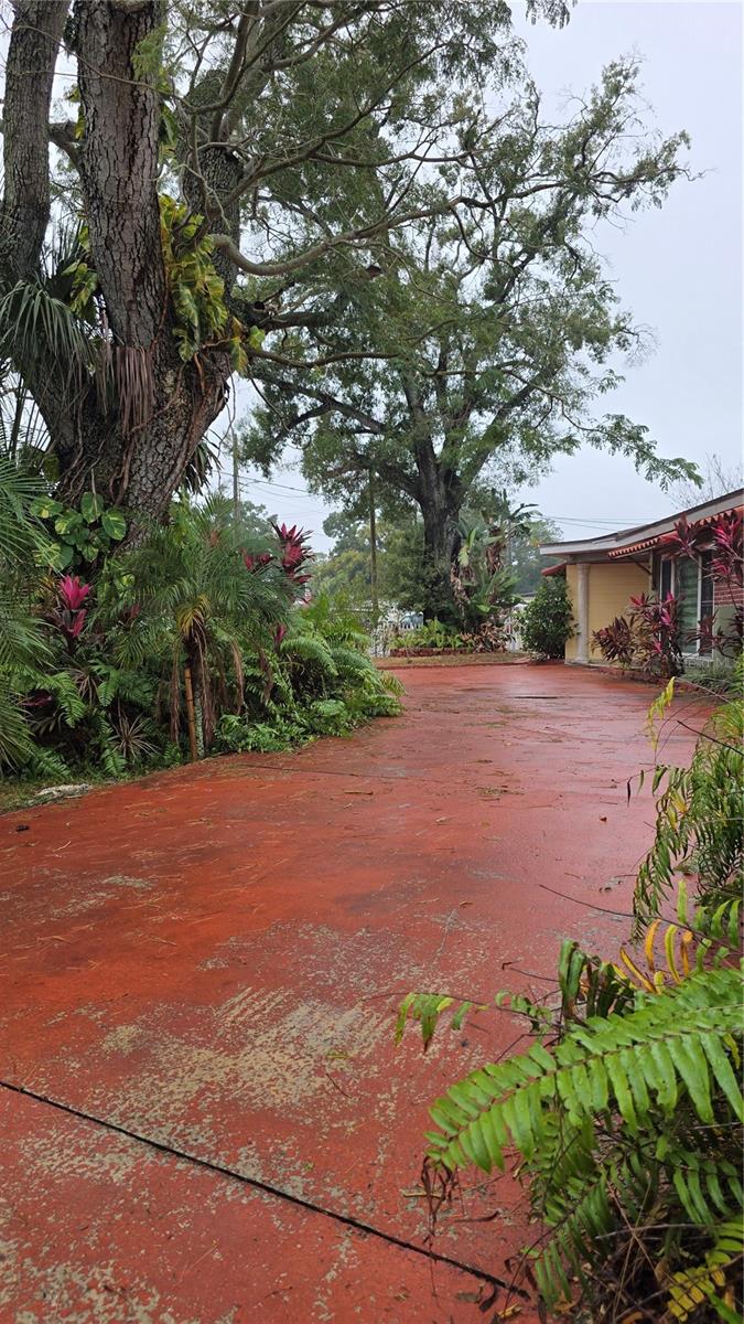 Listing photo id 69 for 2301 Robson Street