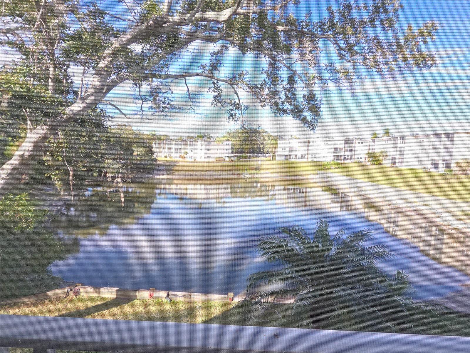 Image 3 of 50 For 960 Virginia Street 201