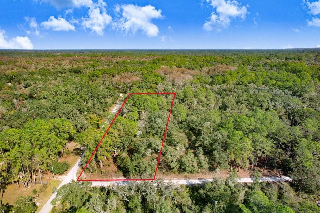Details for Sonia Avenue, WEBSTER, FL 33597