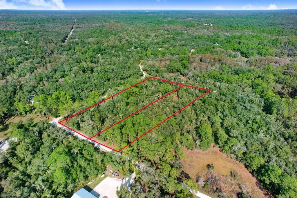 Image 10 of 12 For Sonia Avenue