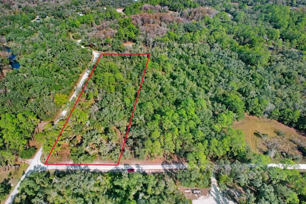 Image 11 of 12 For Sonia Avenue