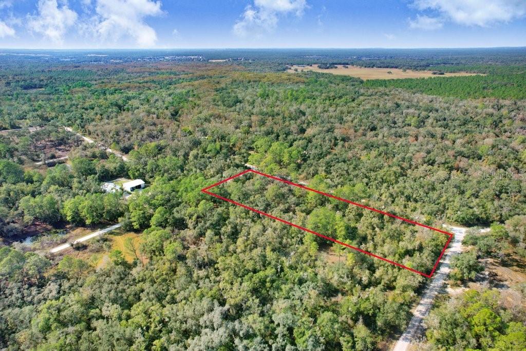 Image 3 of 12 For Sonia Avenue