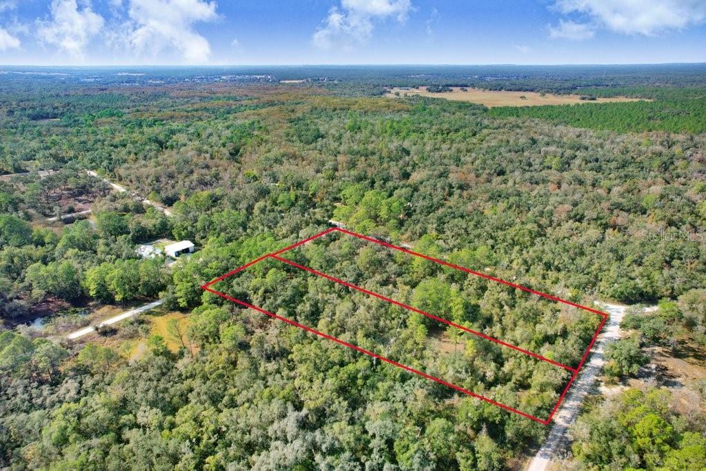 Image 4 of 12 For Sonia Avenue