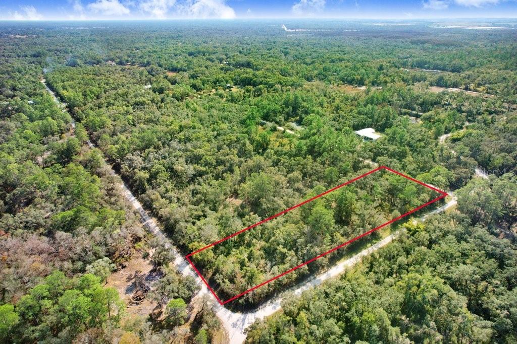 Image 5 of 12 For Sonia Avenue