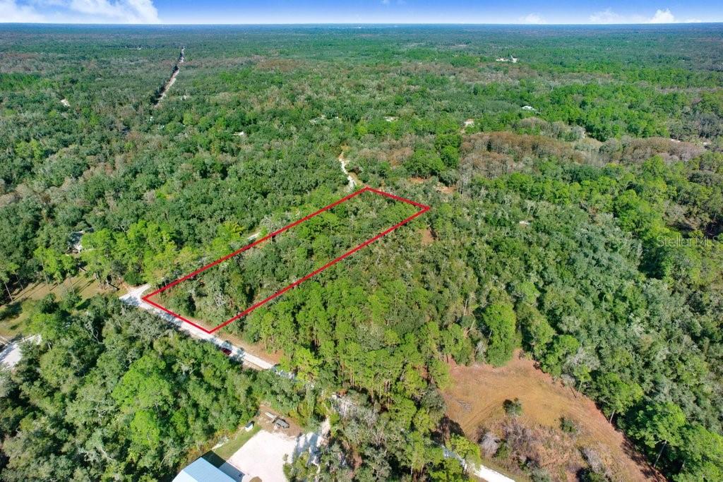 Image 9 of 12 For Sonia Avenue