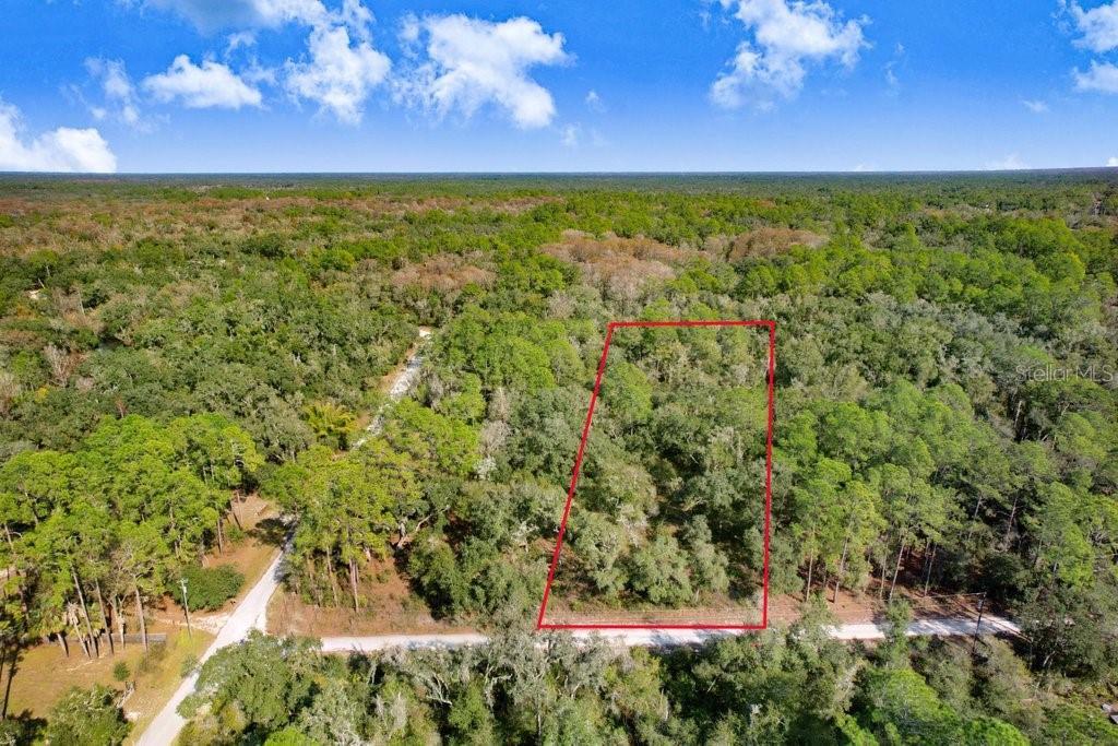 Details for 7292 Sonia Avenue, WEBSTER, FL 33597