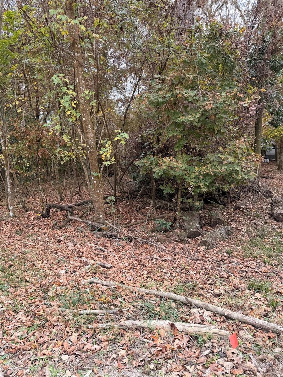 Image 10 of 19 For Lot 11 284th Terrace