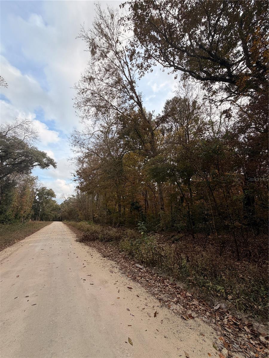 Image 11 of 19 For Lot 11 284th Terrace