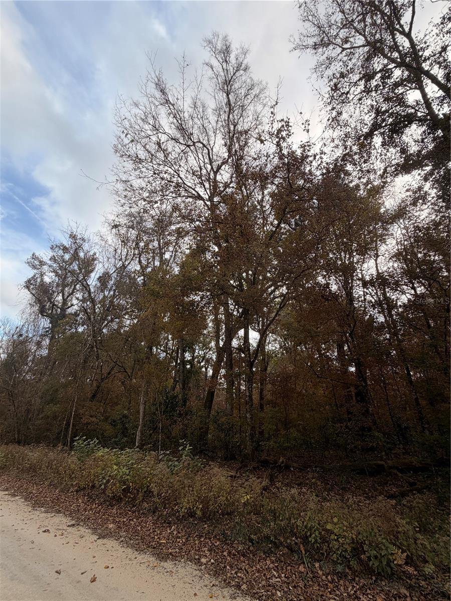 Image 12 of 19 For Lot 11 284th Terrace