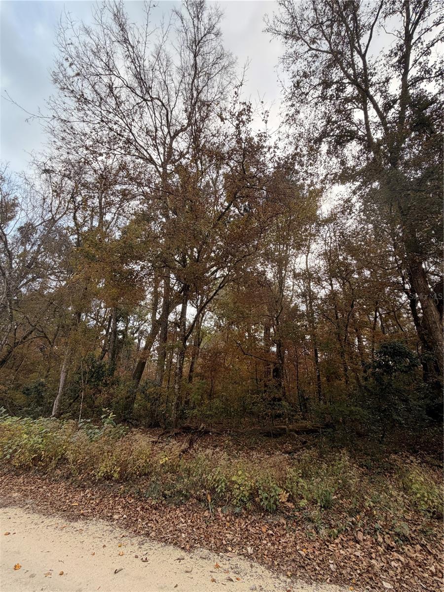 Image 13 of 19 For Lot 11 284th Terrace