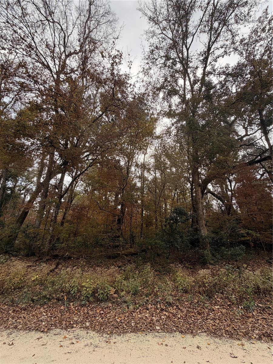 Image 14 of 19 For Lot 11 284th Terrace