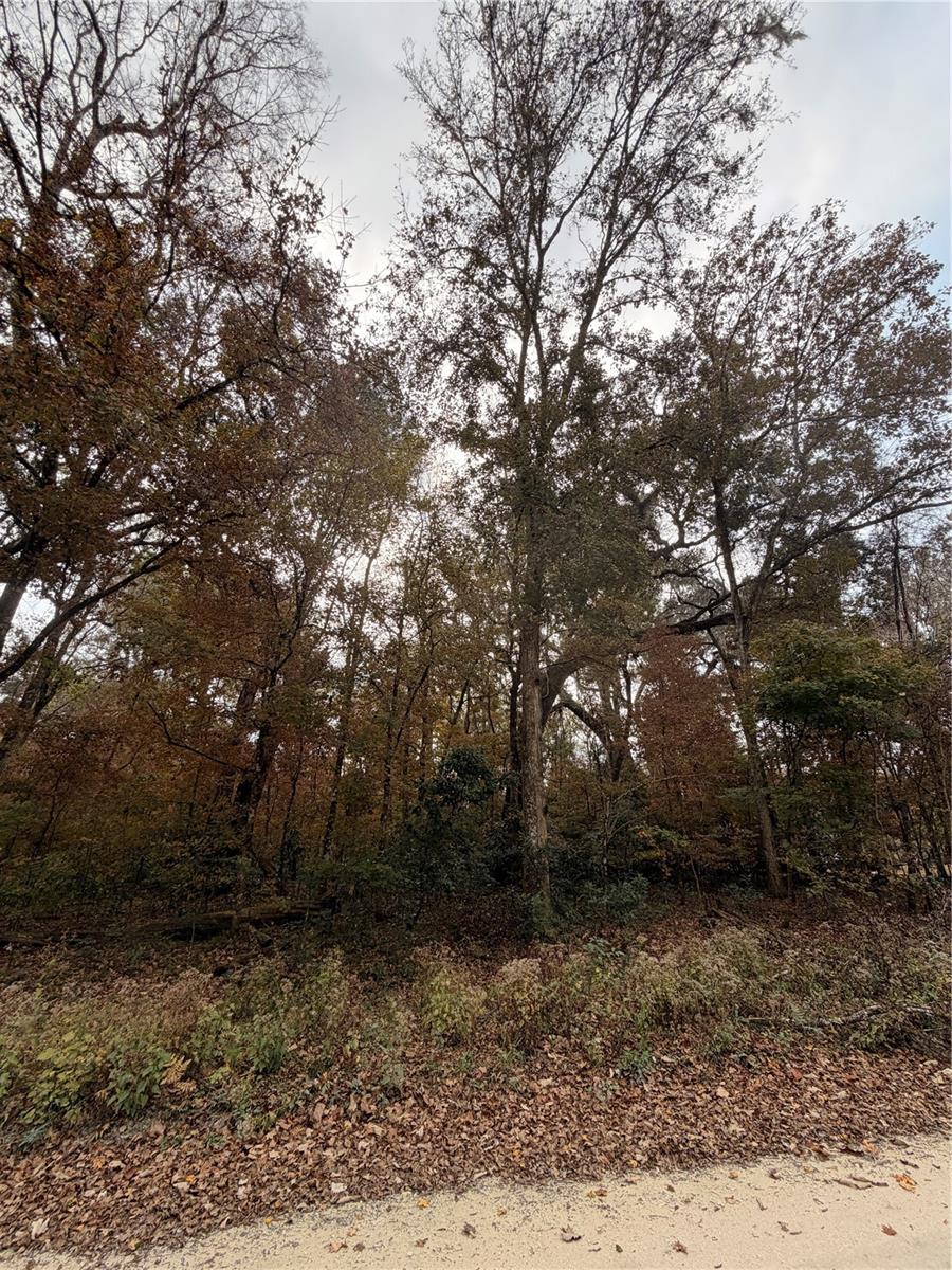 Image 15 of 19 For Lot 11 284th Terrace