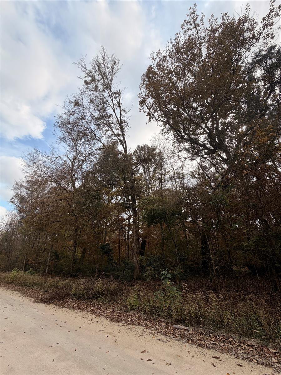 Image 17 of 19 For Lot 11 284th Terrace