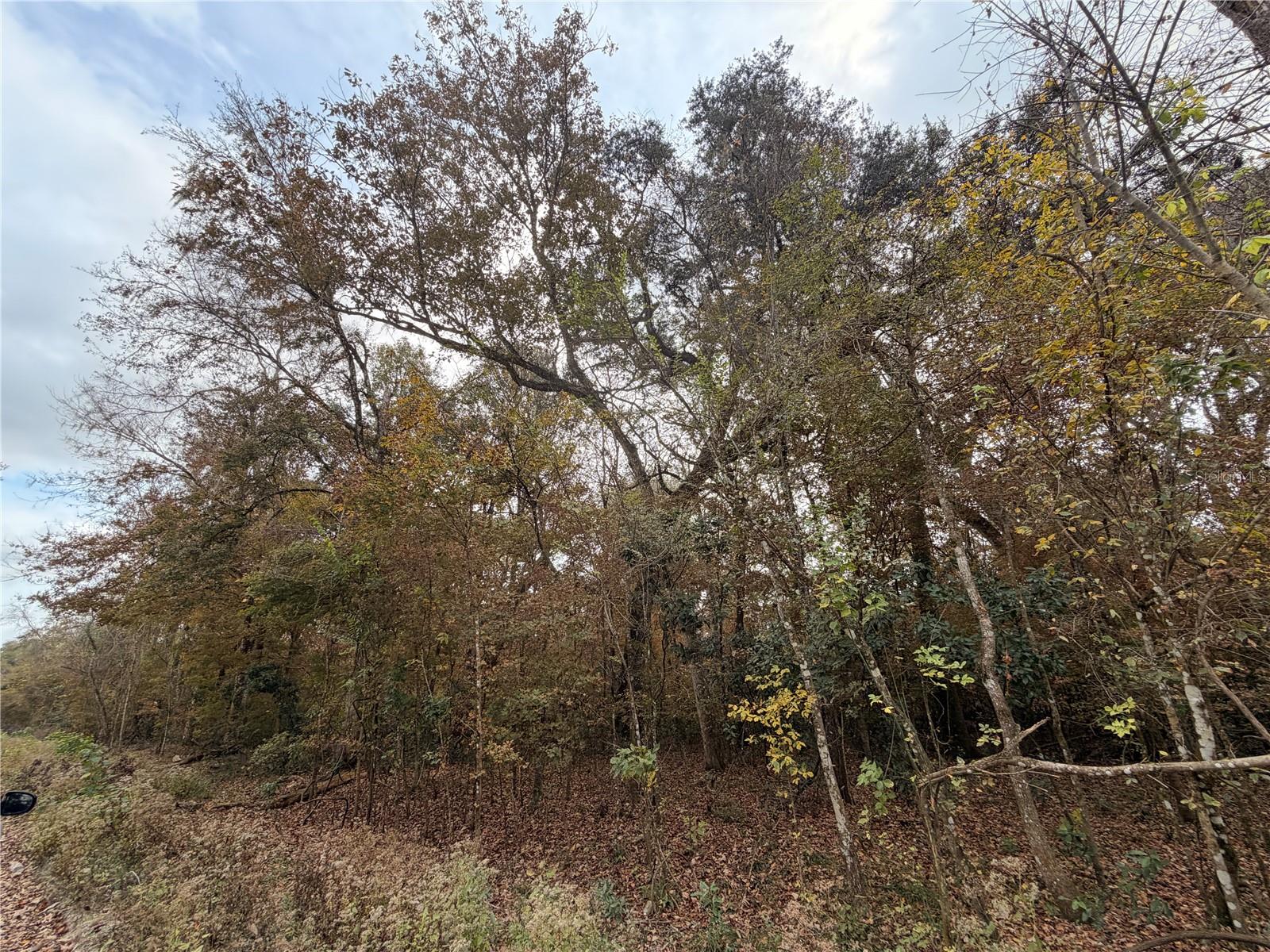 Image 4 of 19 For Lot 11 284th Terrace