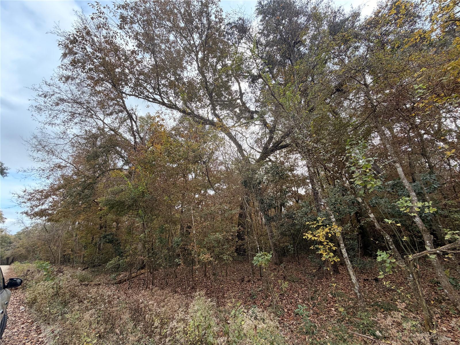 Image 5 of 19 For Lot 11 284th Terrace