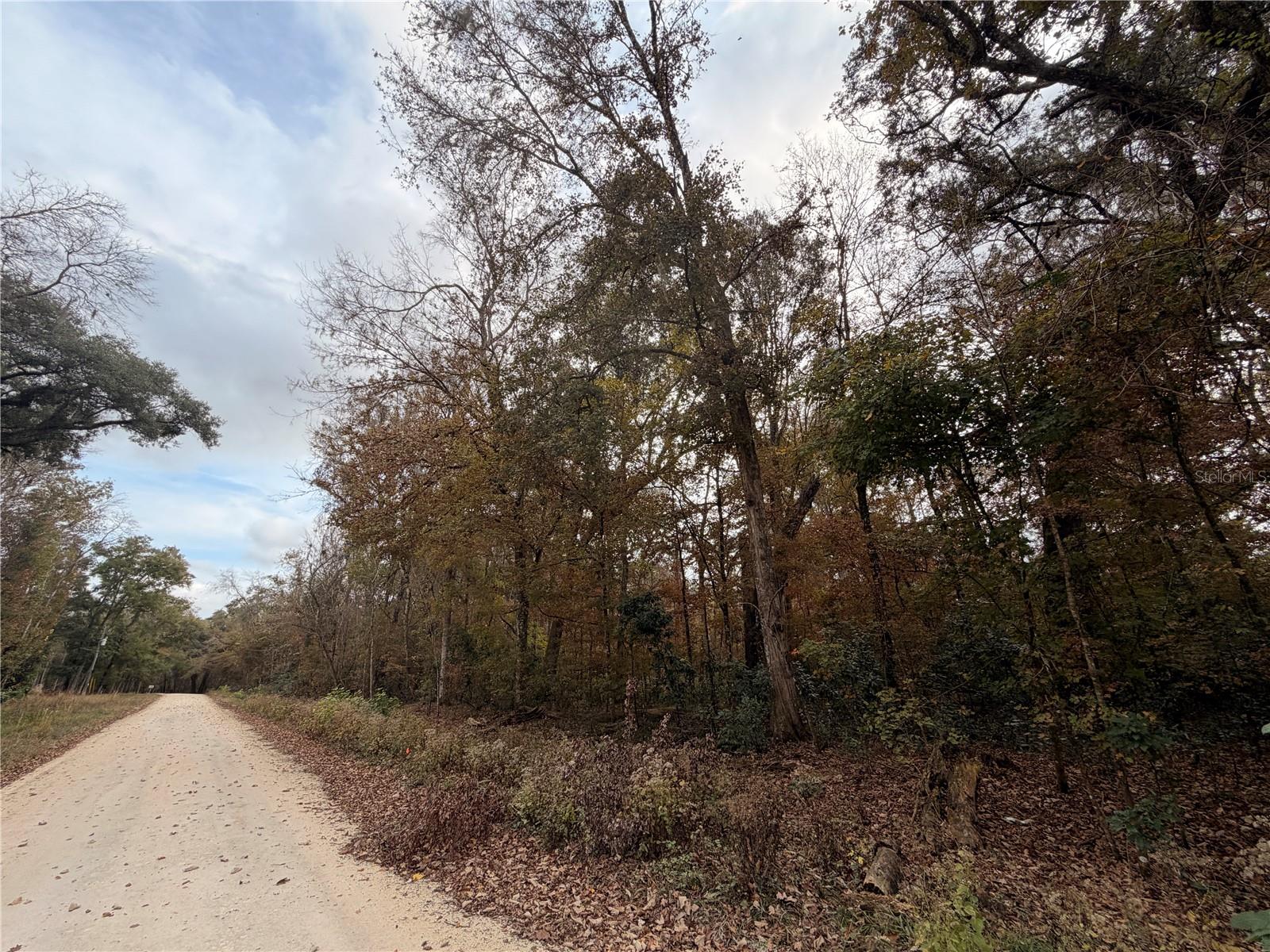 Image 6 of 19 For Lot 11 284th Terrace