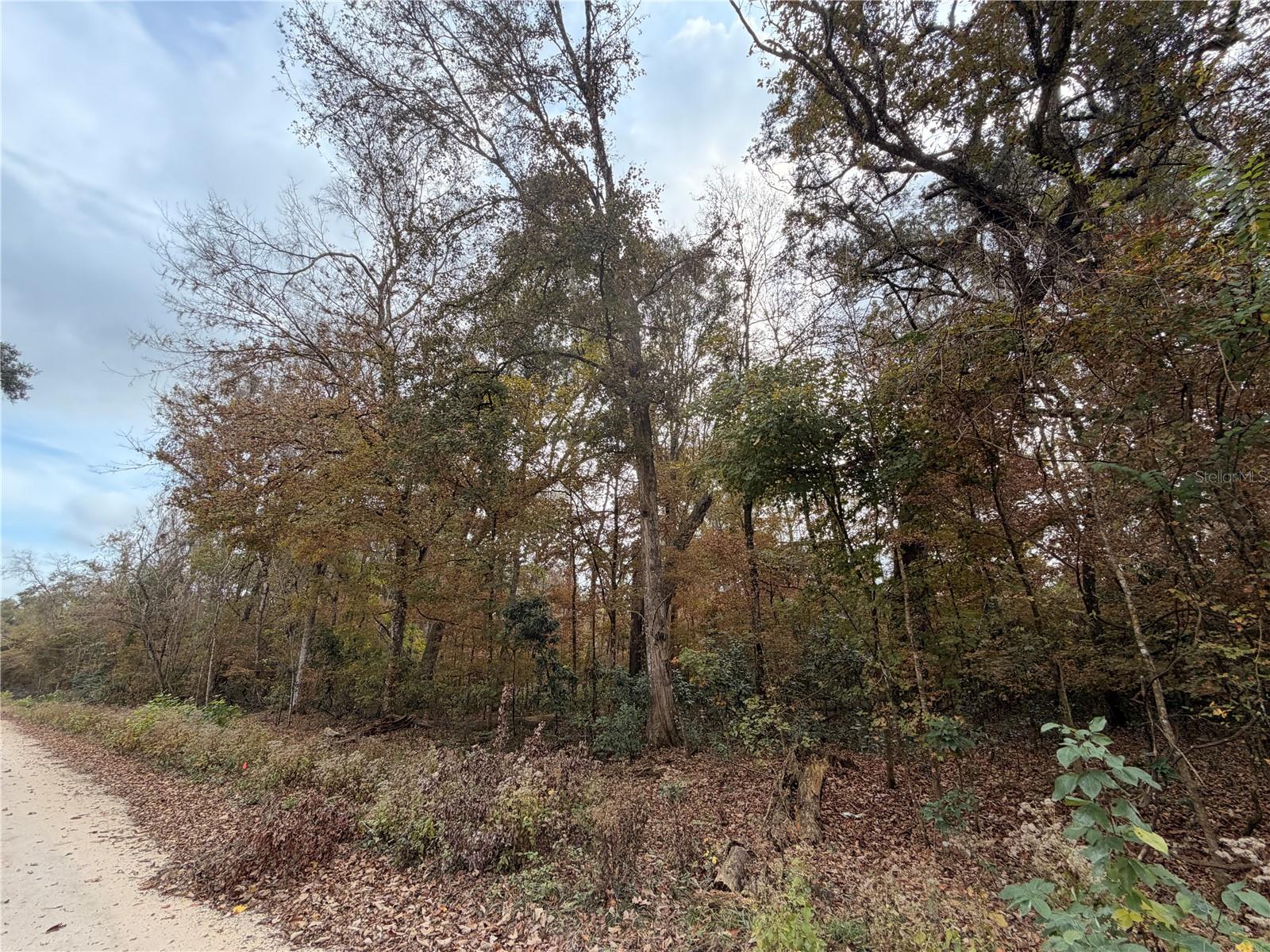 Image 7 of 19 For Lot 11 284th Terrace