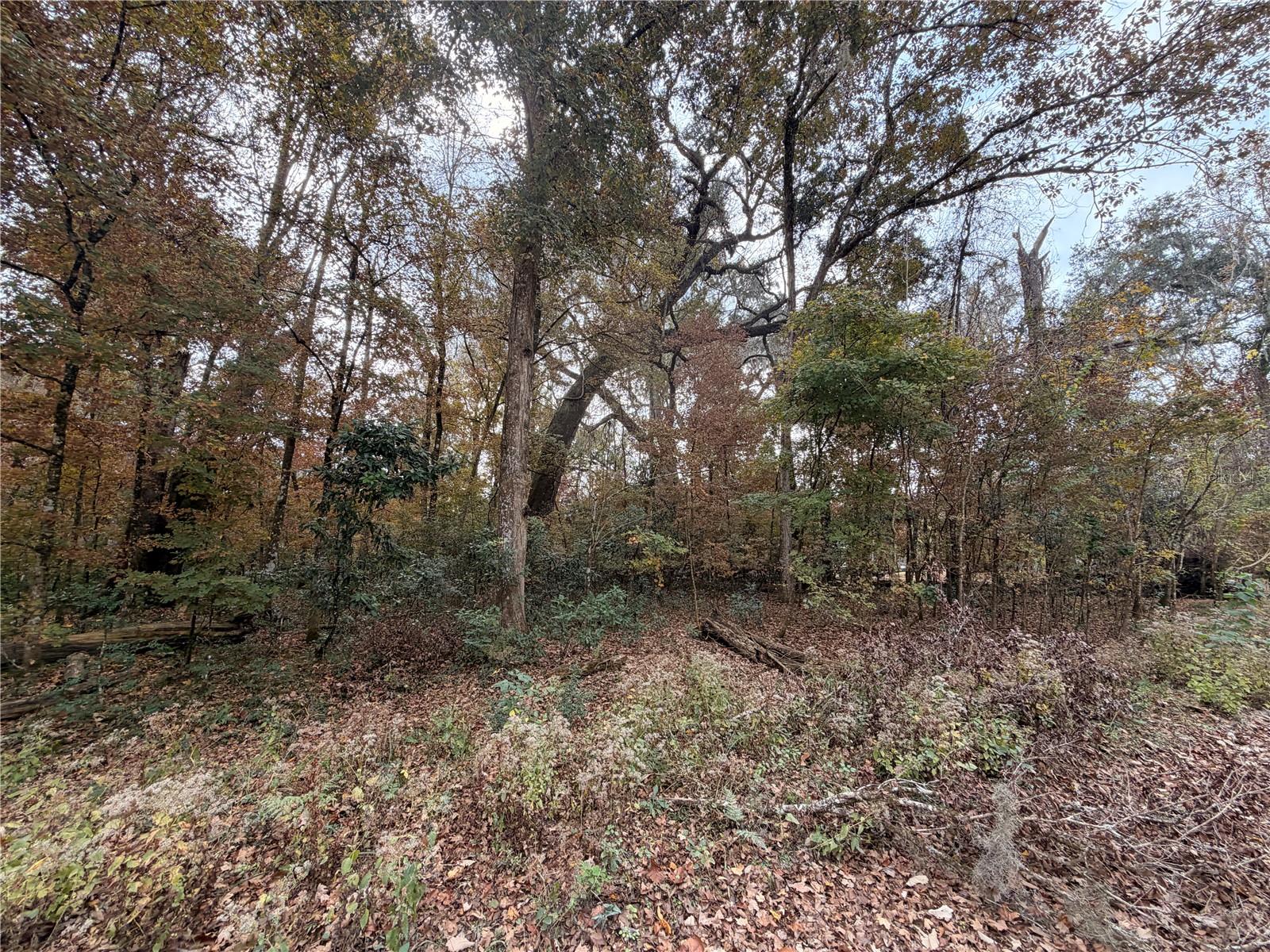 Image 8 of 19 For Lot 11 284th Terrace