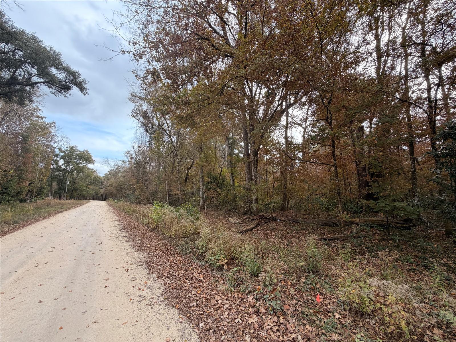 Image 9 of 19 For Lot 11 284th Terrace