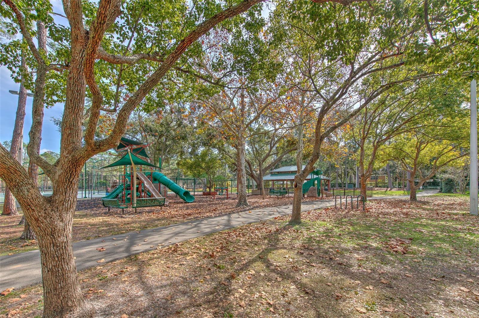 Image 41 of 48 For 9205 Celebration Court