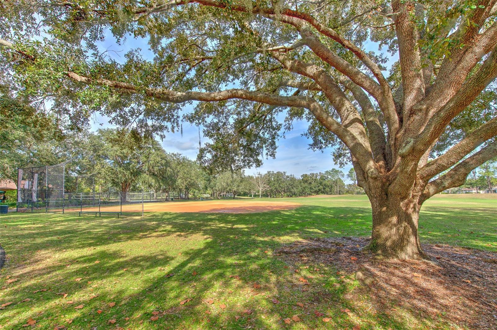 Image 42 of 48 For 9205 Celebration Court