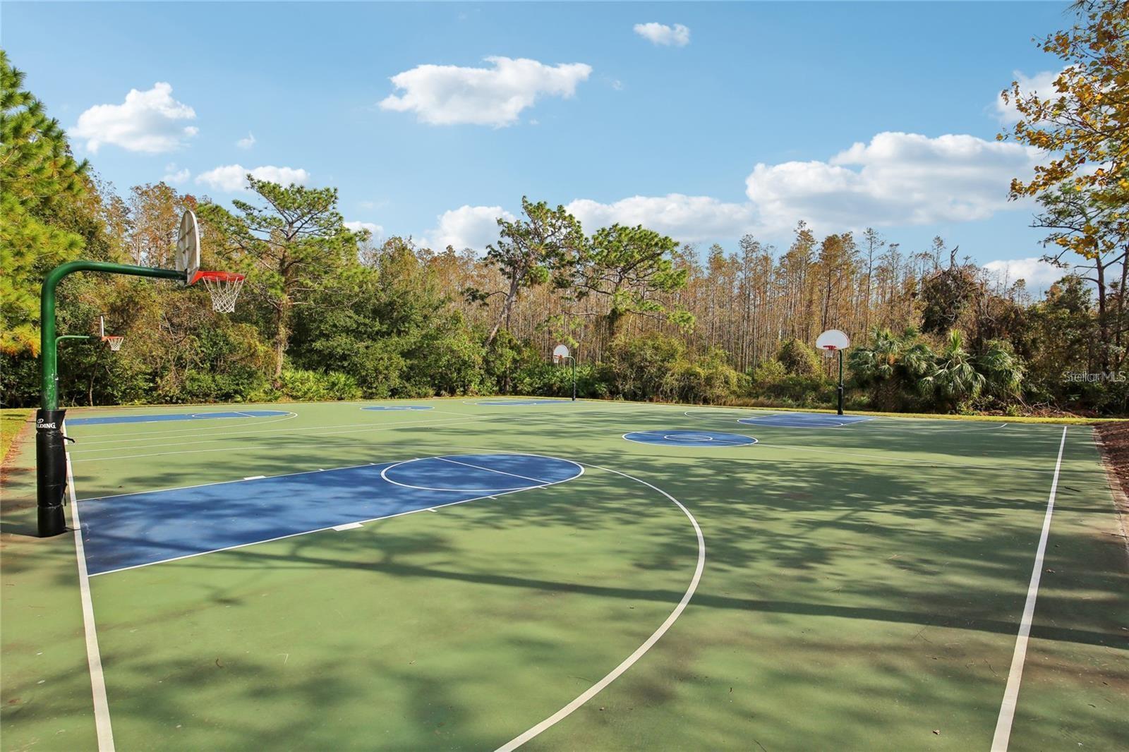 Image 21 of 26 For 30352 Elderwood Drive