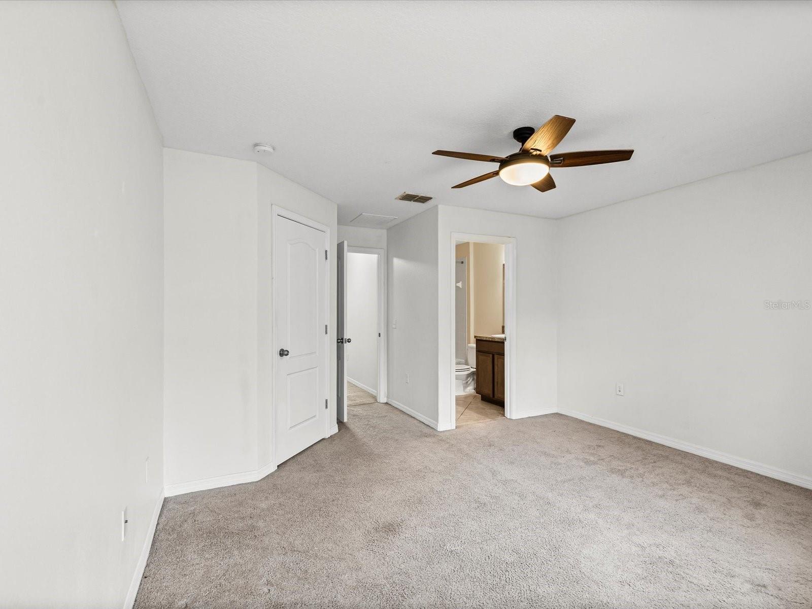 Image 18 of 33 For 9779 Trumpet Vine Loop