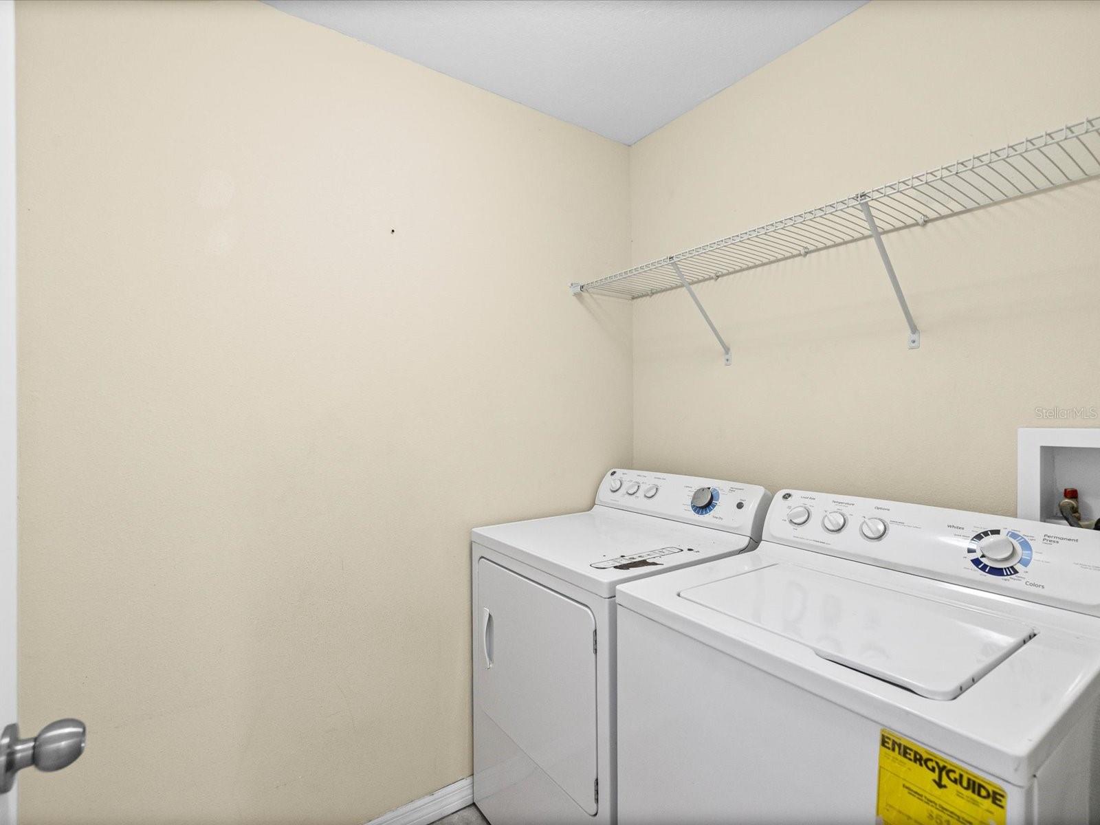 Image 26 of 33 For 9779 Trumpet Vine Loop