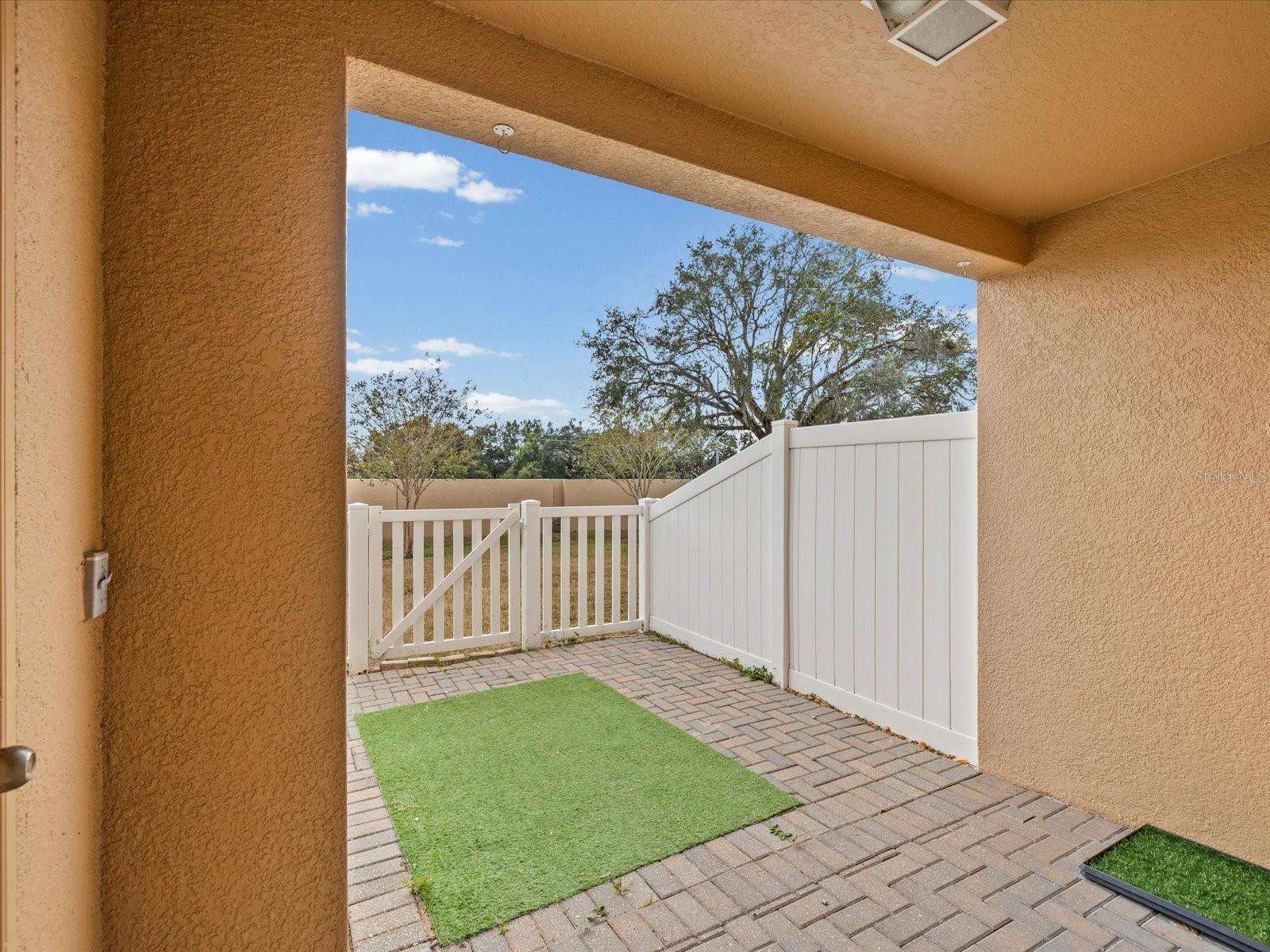 Image 27 of 33 For 9779 Trumpet Vine Loop