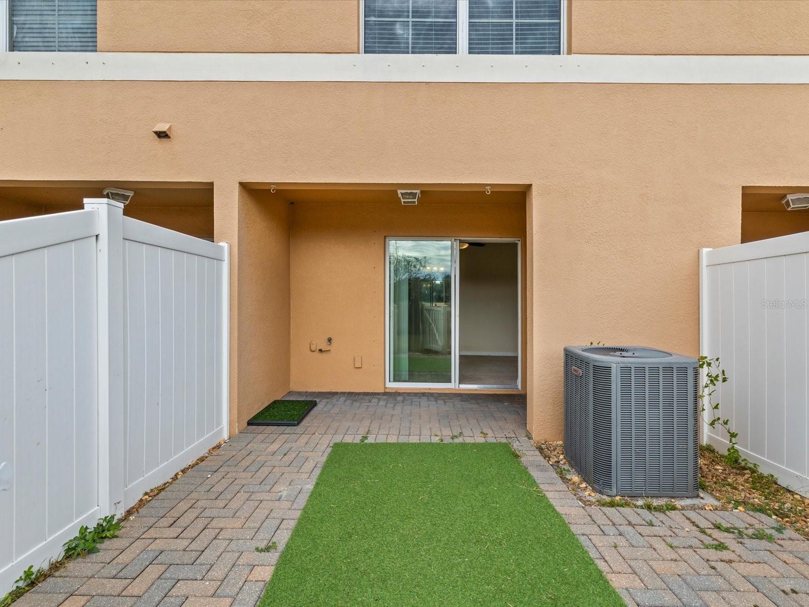 Image 29 of 33 For 9779 Trumpet Vine Loop