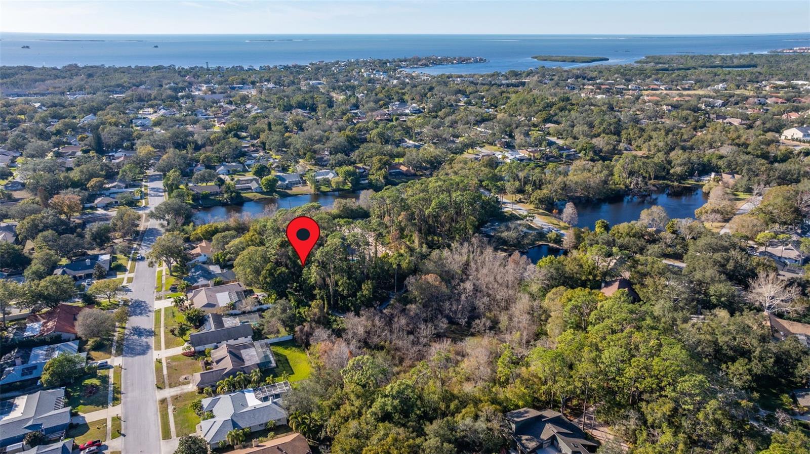 Image 11 of 20 For 1302 Almaria Court