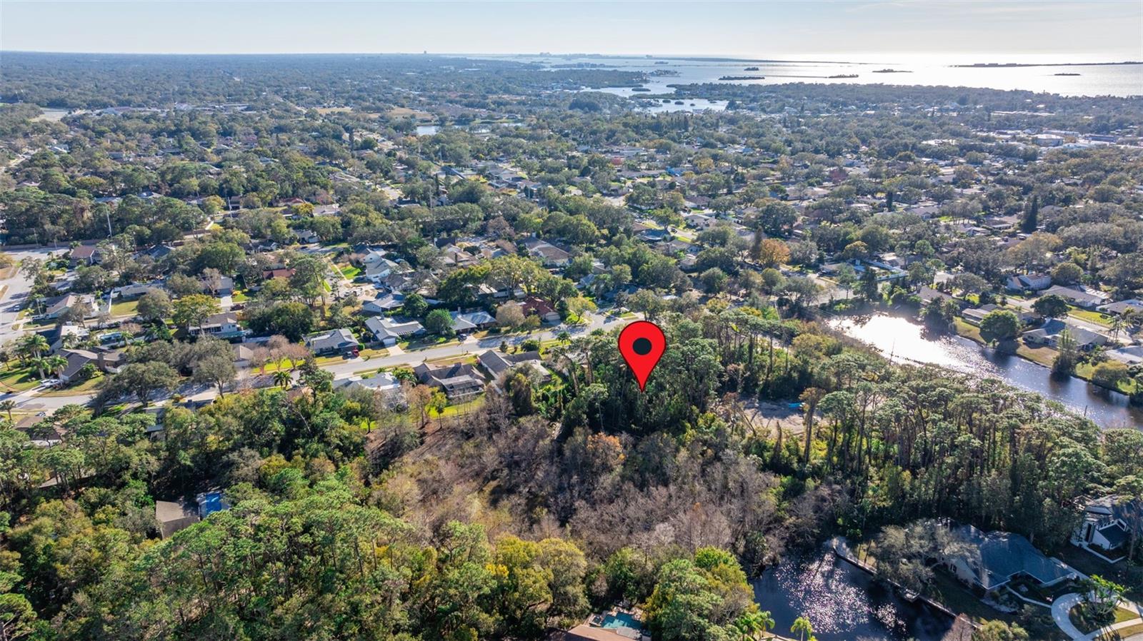 Image 8 of 20 For 1302 Almaria Court