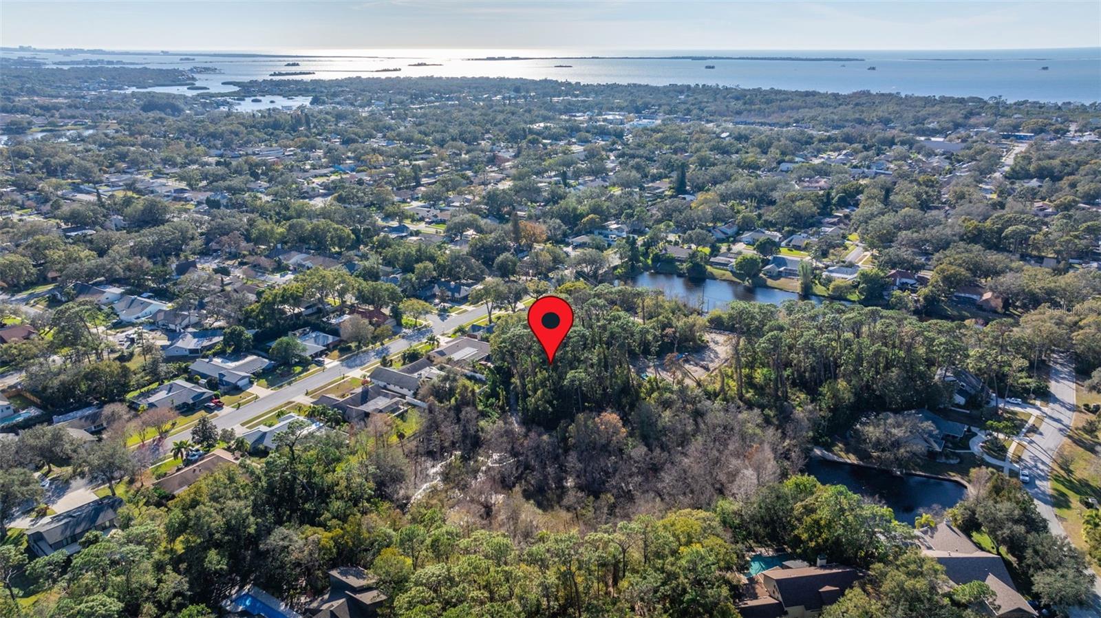 Image 9 of 20 For 1302 Almaria Court