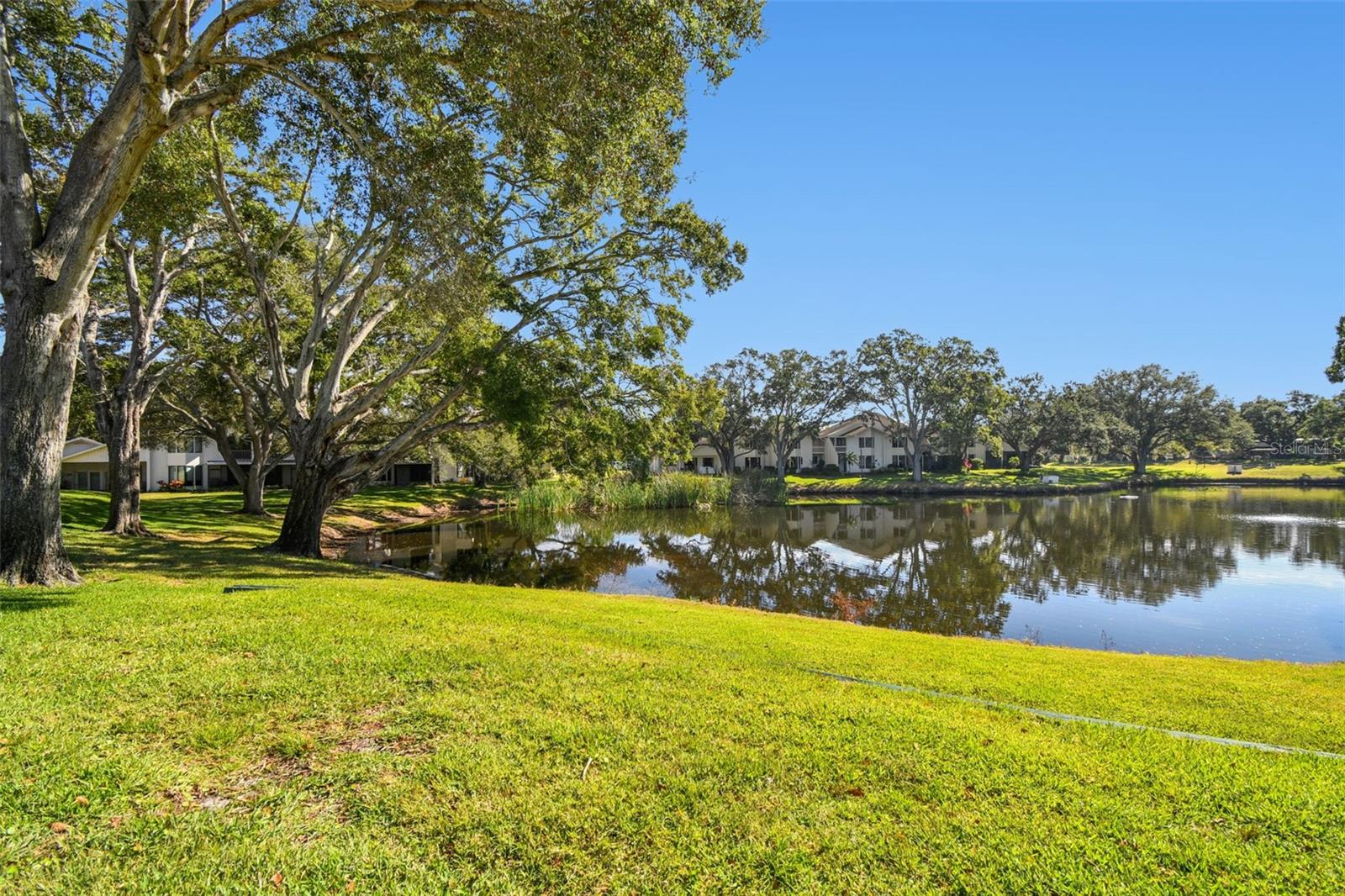 Image 38 of 47 For 474 Lakeview Drive 28