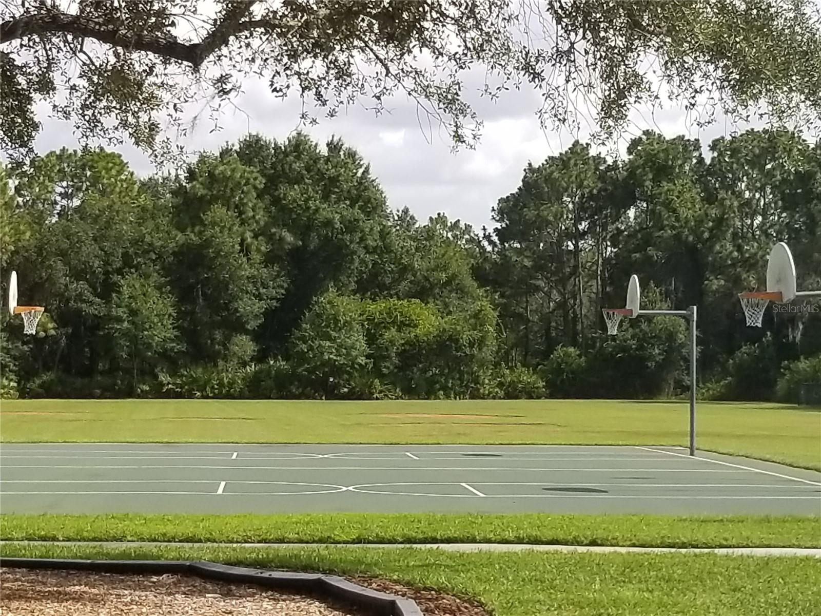 Image 49 of 66 For 8210 Whistling Pine Way