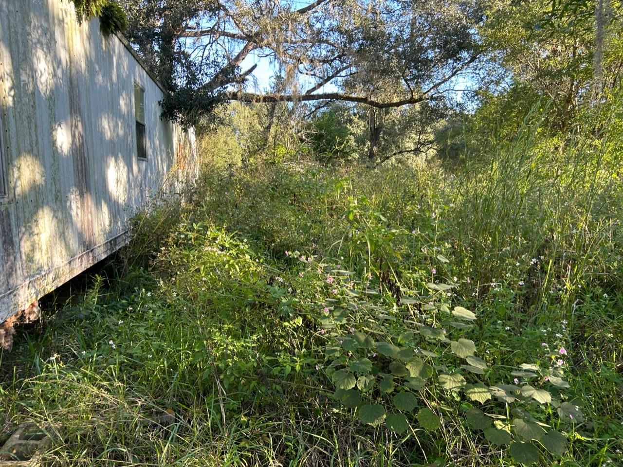 Image 3 of 17 For 39249 Lizabeth Circle