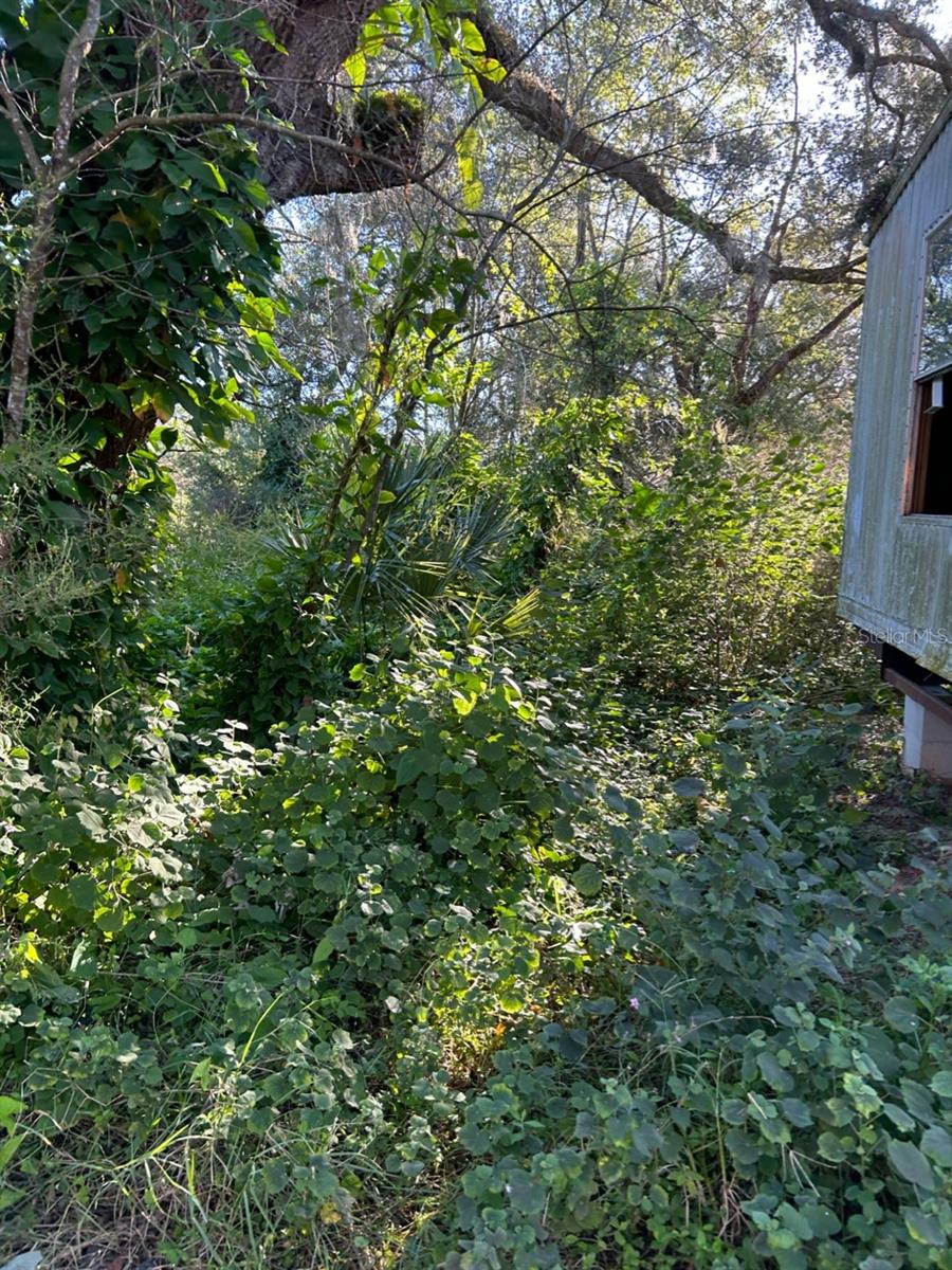 Image 7 of 17 For 39249 Lizabeth Circle