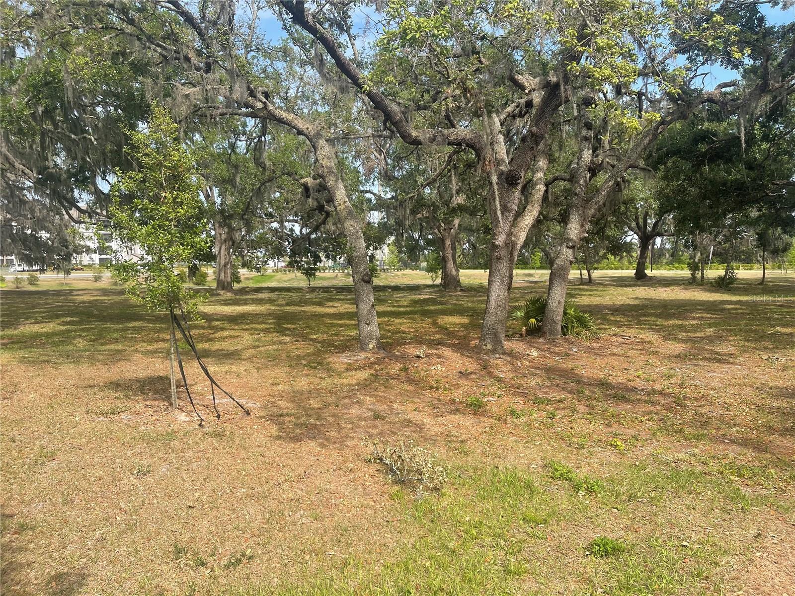 Image 5 of 40 For 30681 Veridian Way