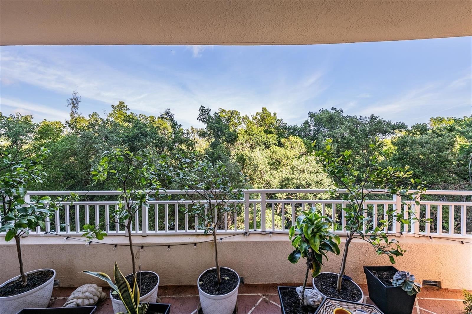 Image 22 of 32 For 12033 Gandy Boulevard N 135