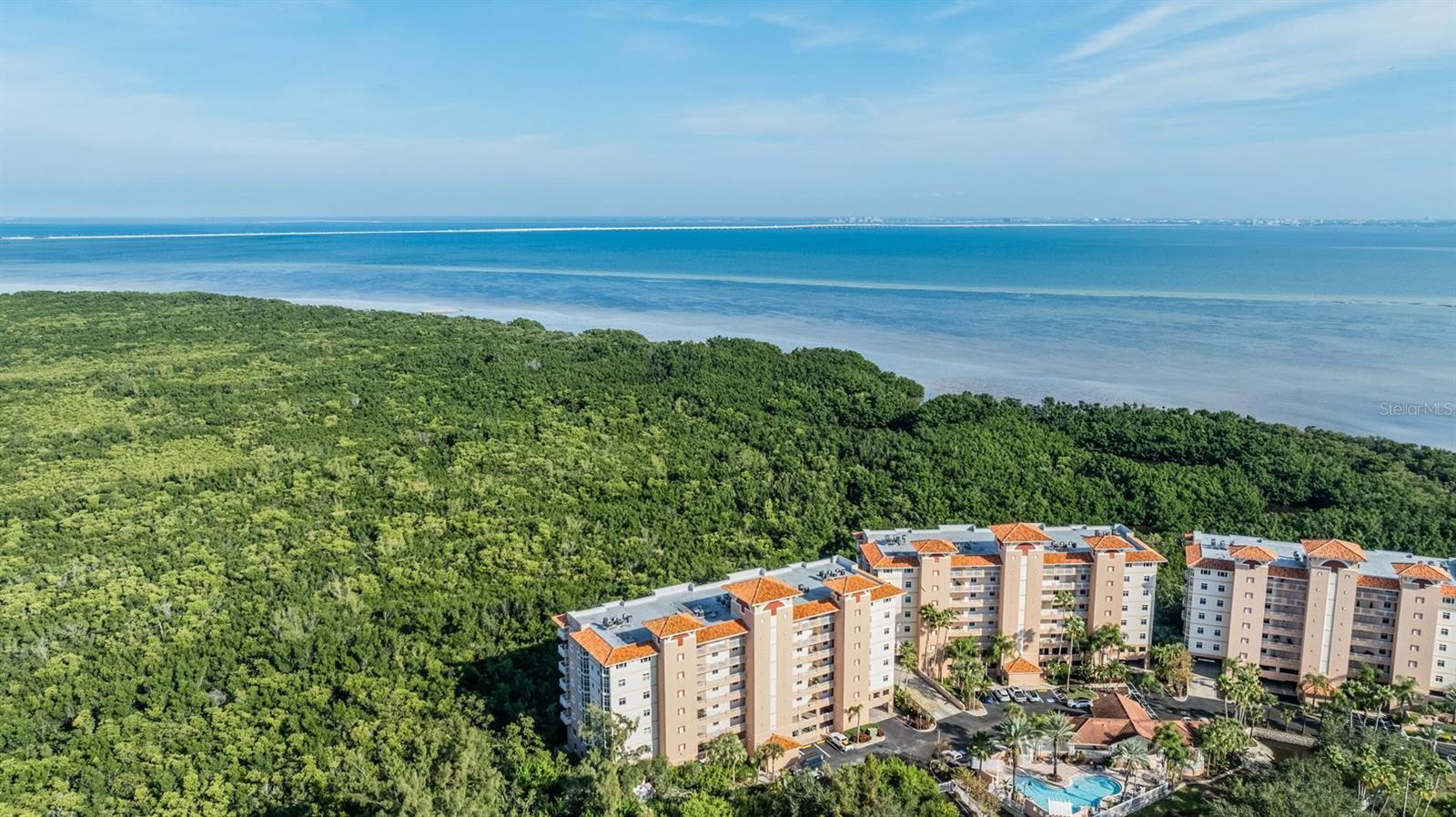 Image 29 of 32 For 12033 Gandy Boulevard N 135