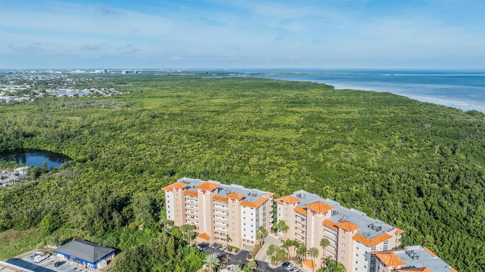 Image 30 of 32 For 12033 Gandy Boulevard N 135