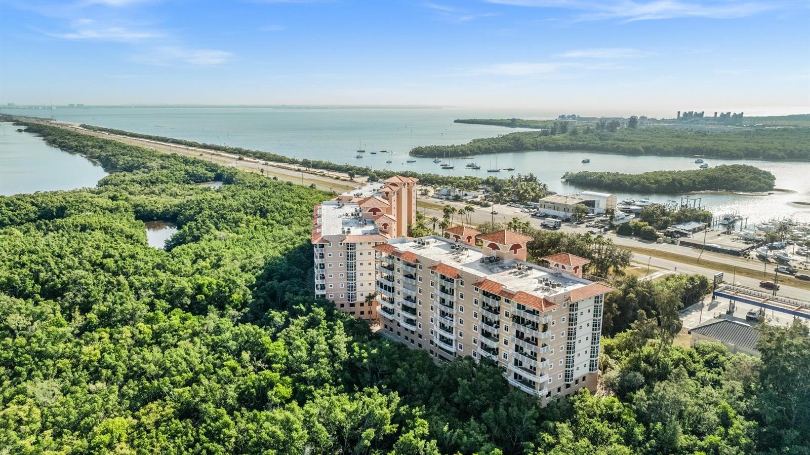 Image 31 of 32 For 12033 Gandy Boulevard N 135