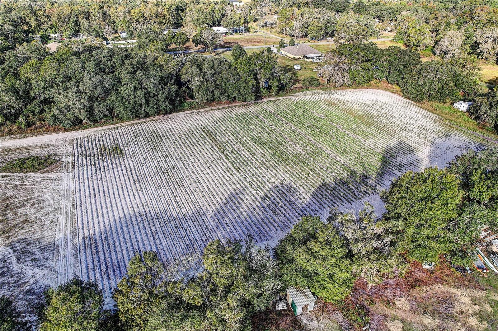 Listing photo id 4 for 4822 Nesmith Road