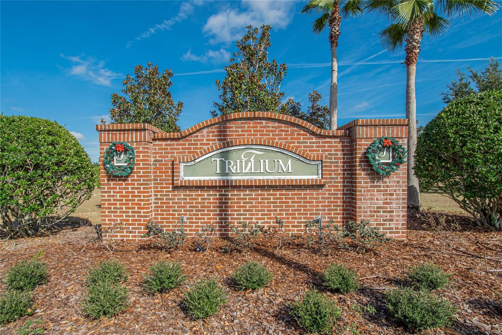 Image 46 of 54 For 653 Petal Mist Lane