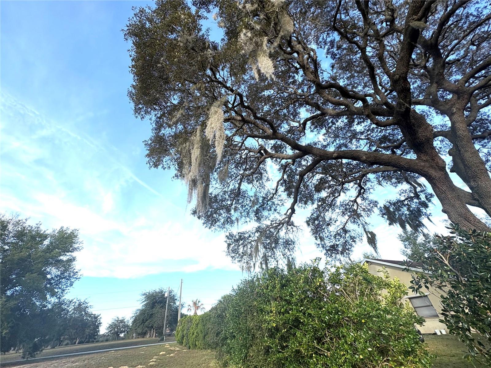 Image 11 of 25 For 756 Bismark Street