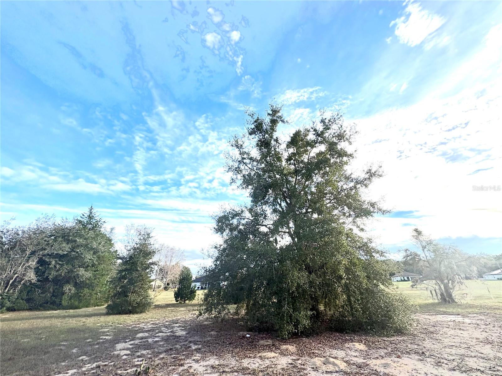 Image 22 of 25 For 756 Bismark Street