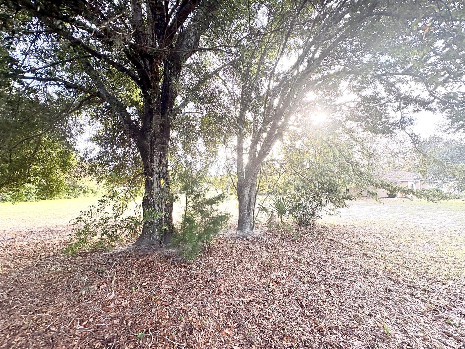 Image 5 of 25 For 756 Bismark Street