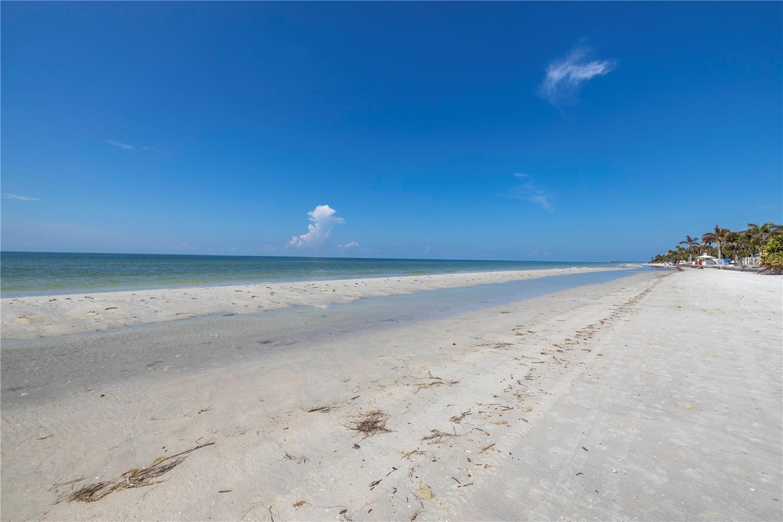 Image 15 of 25 For 14117 Palm Street