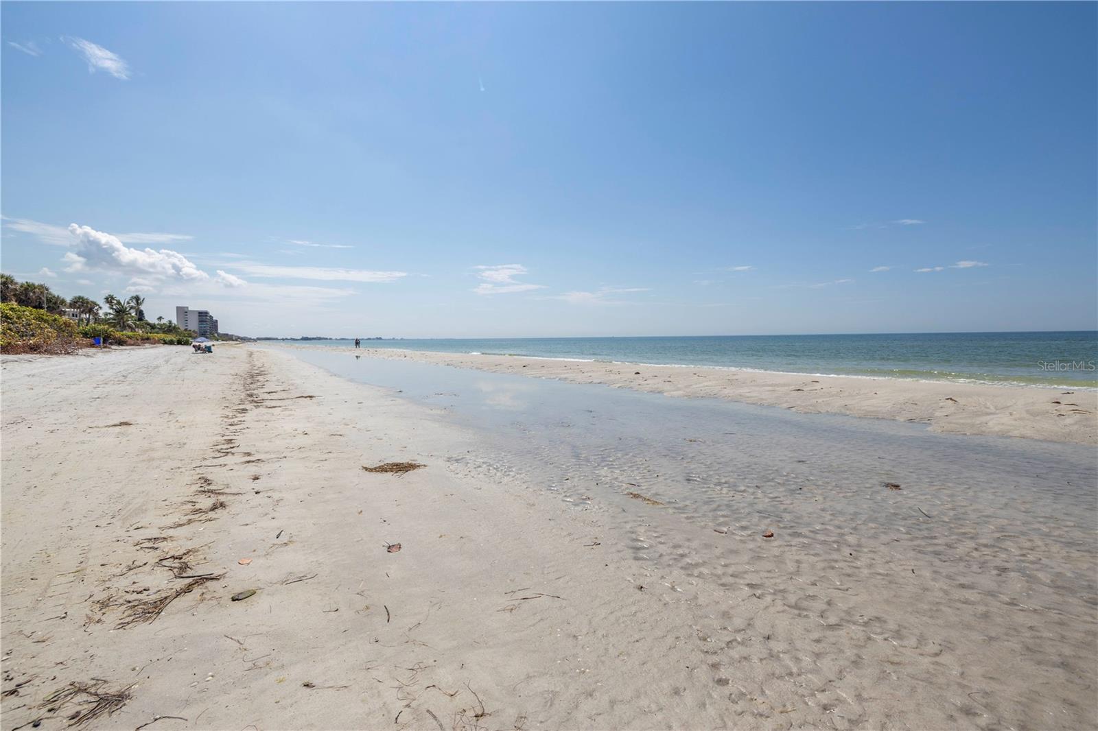 Image 16 of 25 For 14117 Palm Street